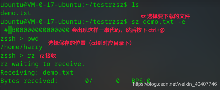 deepin sz 下载文件
