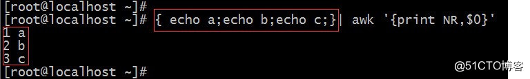 Linux中的括号用法