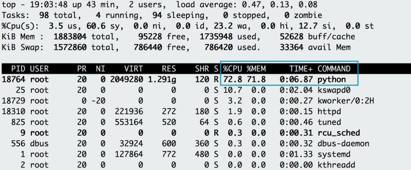 Issuing top against an application that consumes all of its memory.