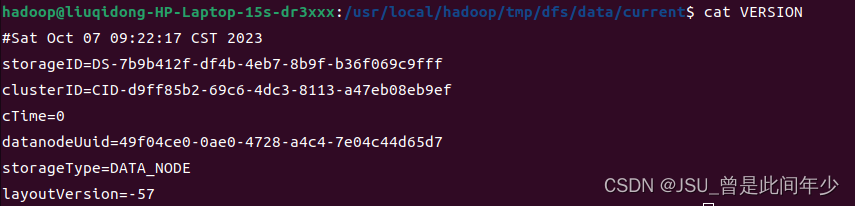 hadoop报错java.io.IOException: Incompatible clusterIDs in /usr/local ...