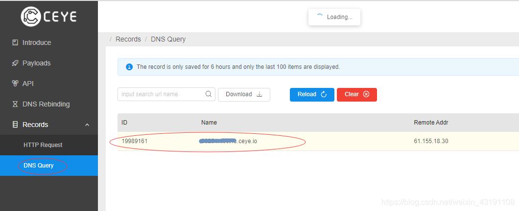 DNS Query