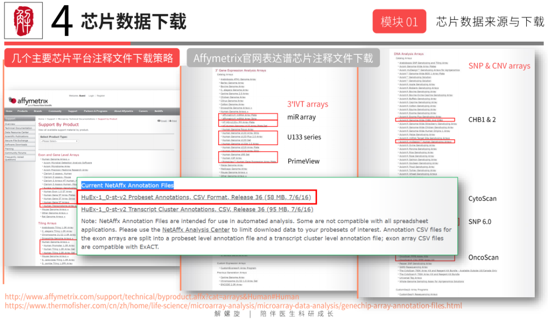 9adaa540a19e095fed2b50366dff1e8e.png