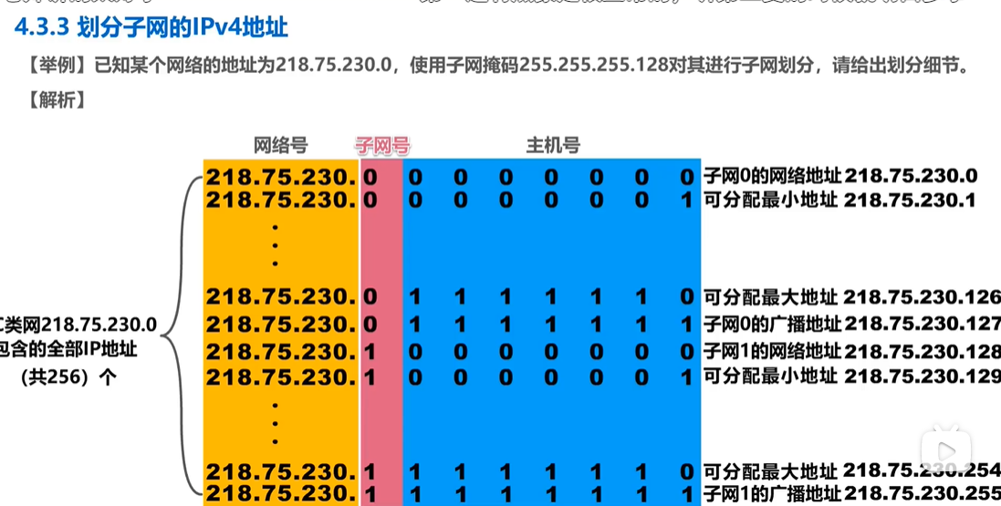 image-20220303174258364