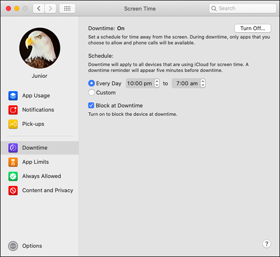 Click "Turn On" next to the "Downtime" option, and then click "Every Day" or "Custom."