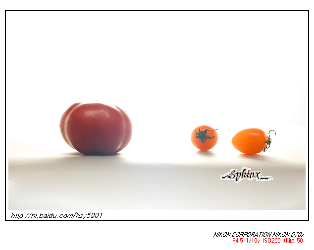 f7136a24caadd404c8955986.jpg