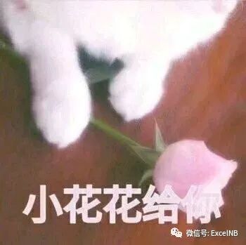 4b6be0a12354d31d1c9bcb574855777e.png