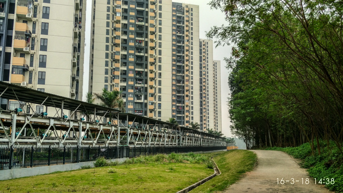 深圳绿道-观澜段-乡村一号