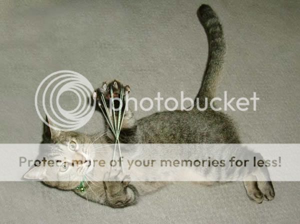 点击在新窗口中查看该图片