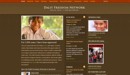 Non-Proft Websites
