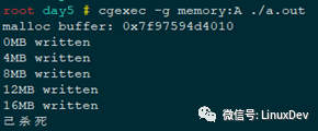 640?wx_fmt=png