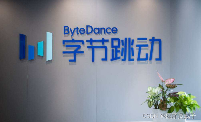 字节跳动测开岗,4面都过了,HR告诉我被刷在这个地方...._字节跳动四面还会被拒吗-CSDN博客