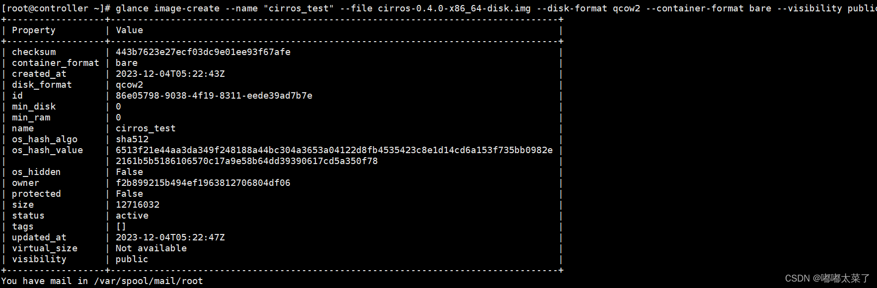 【Openstack Train】十五、glance命令、Python SDK_glance镜像删除命令-CSDN博客