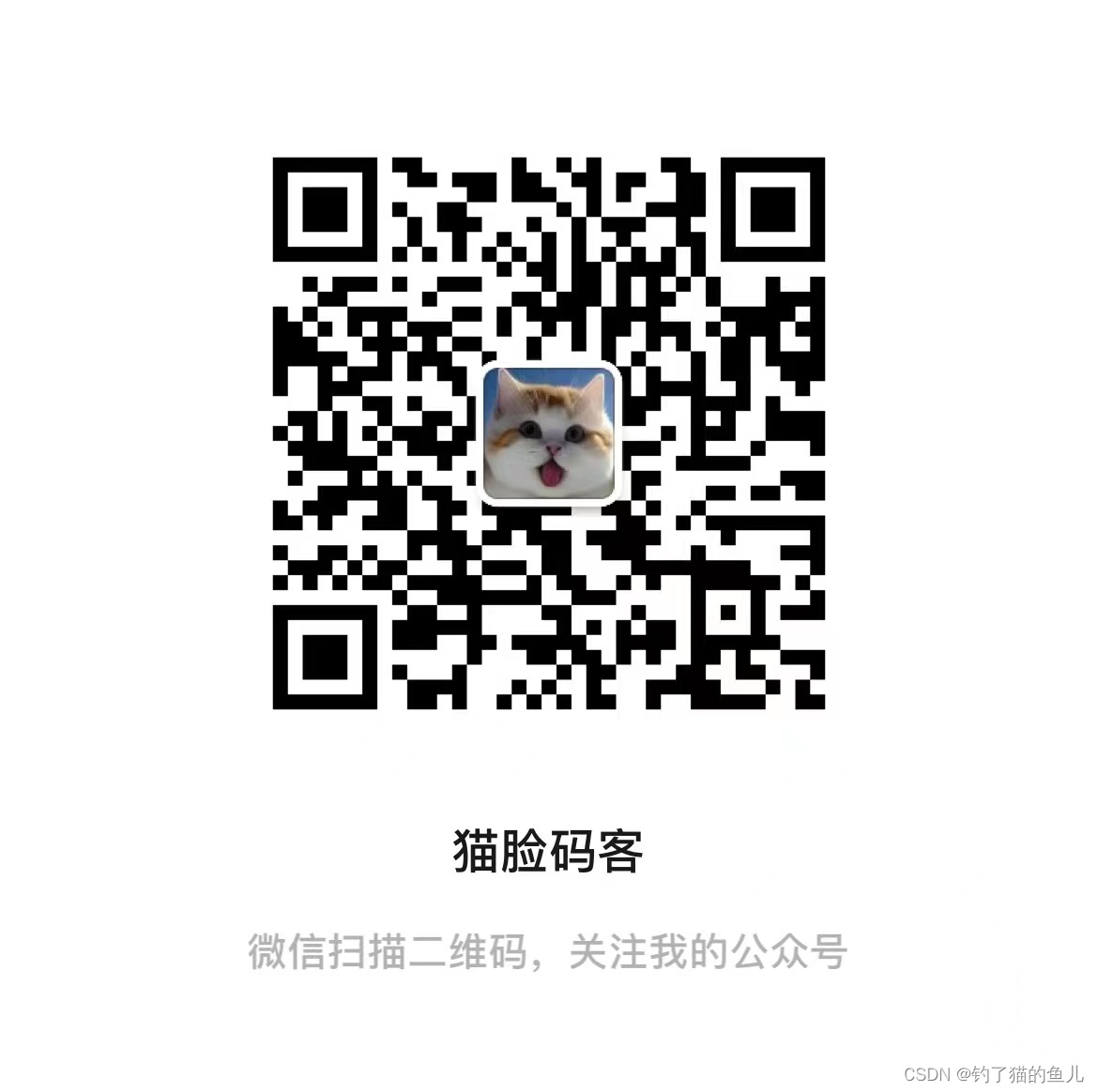 第80期 道路障碍物数据集_猫脸码客_02