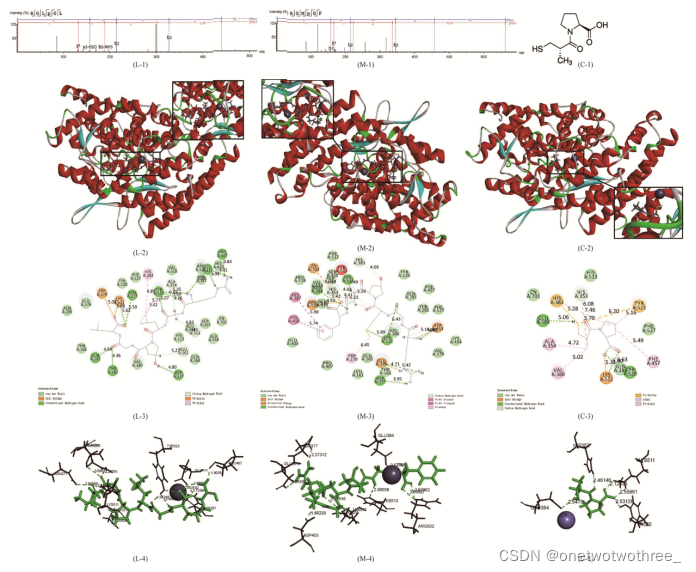 明胶在血管怎么降解牛骨明胶水解物作为新型血管紧张素转化酶抑制剂机理的研究_https://www.jmylbn.com_新闻资讯_第1张
