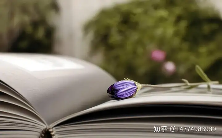 研发技术评审及项目有哪些？