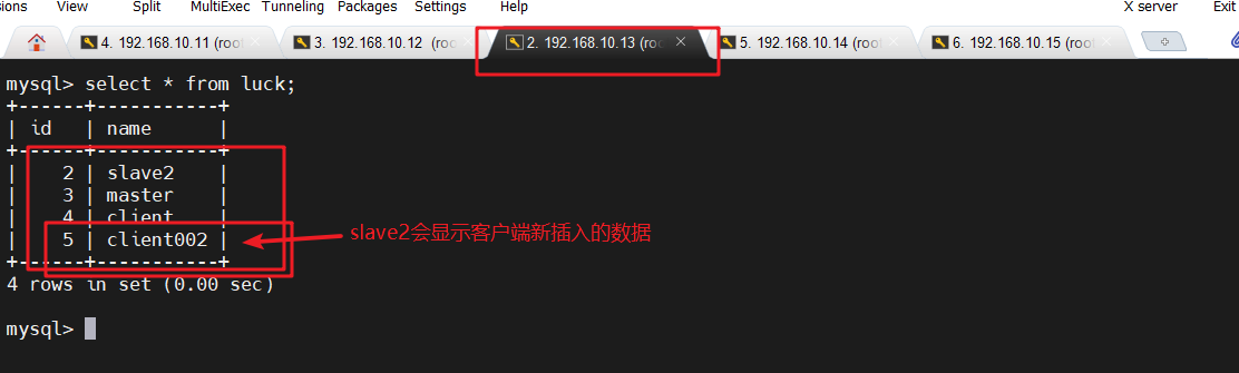 image-20240328193813759