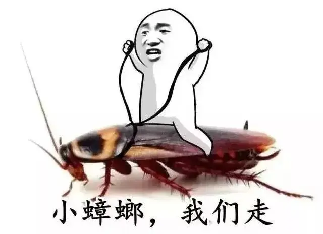 3901436-3e3d2aca2c70e4ad