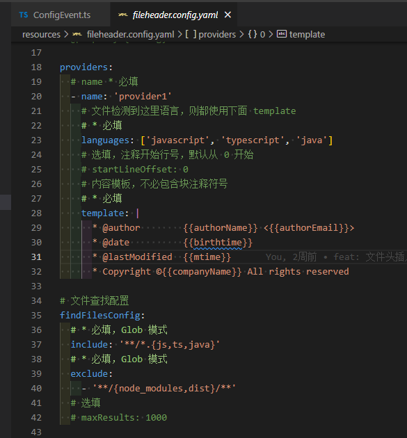 项目级配置文件