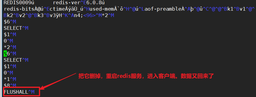 image-20201216190335340