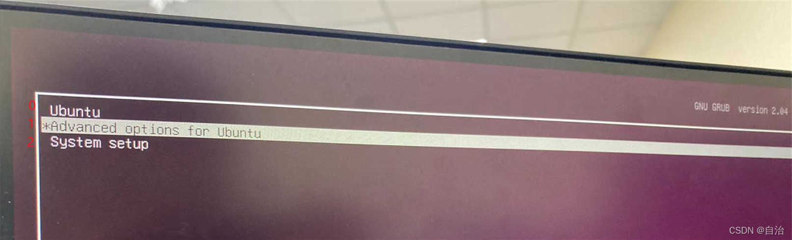 Ubuntu指定默认Linux内核启动_advanced options for ubuntu-CSDN博客