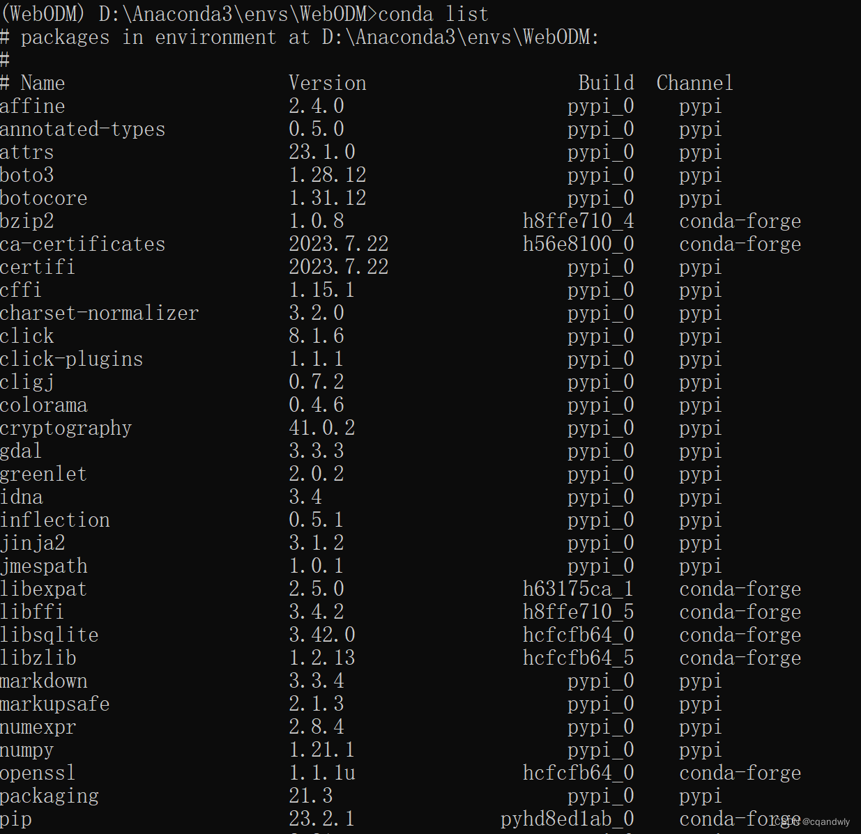 conda list