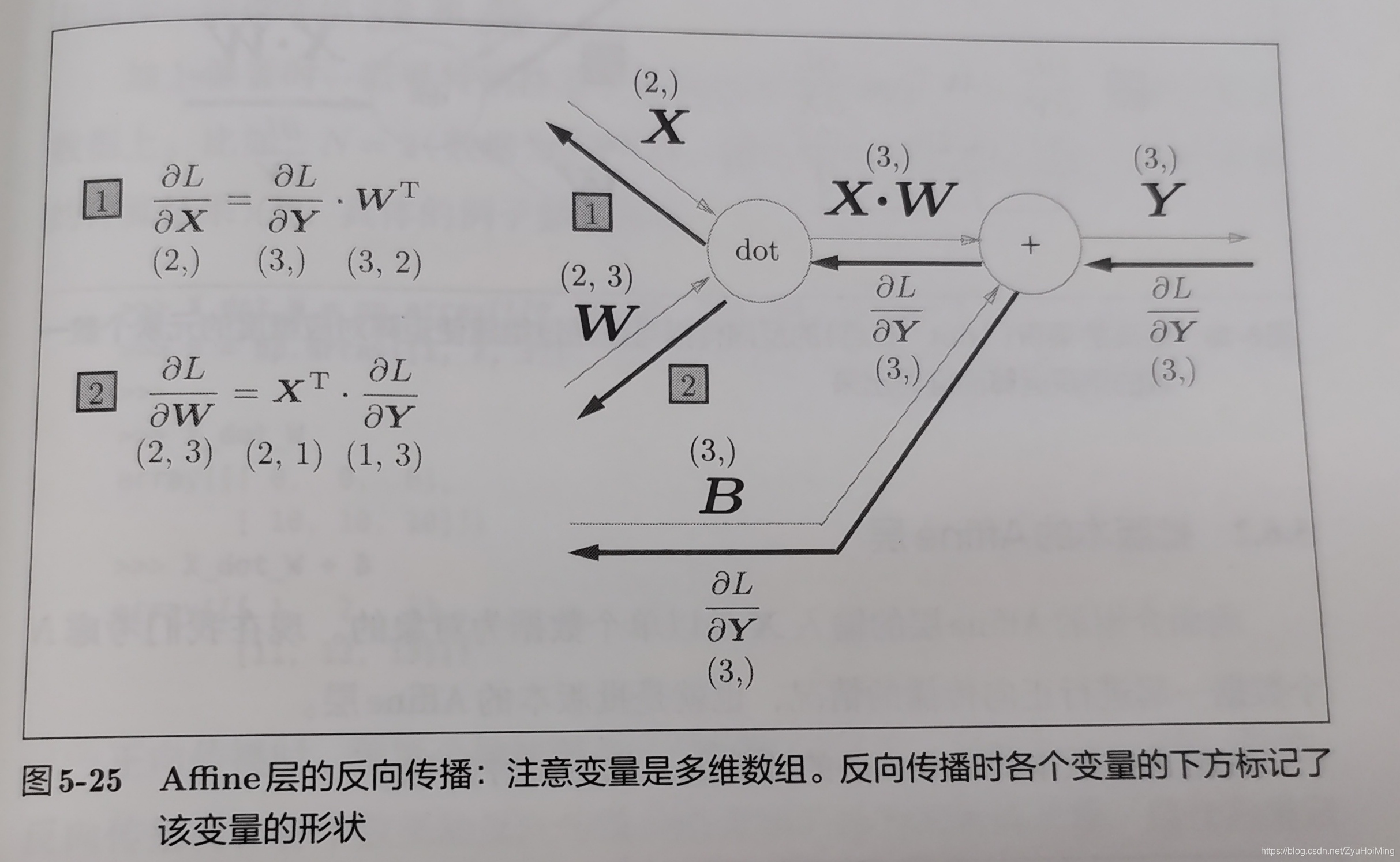 Affine层反向传播