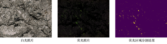 图 6‑4  石油荧光分割样例