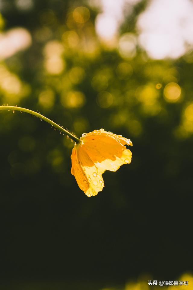 a61d868b4f8390fc290b9684c18d17f9.png