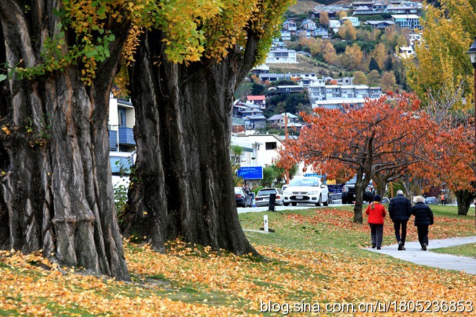 [转载]【纯净新西兰】漫步在童话小镇的秋天
