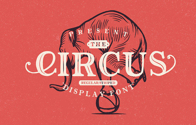 THE CIRCUSDISPLAY