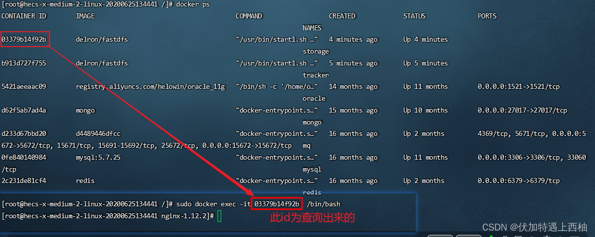 进入容器