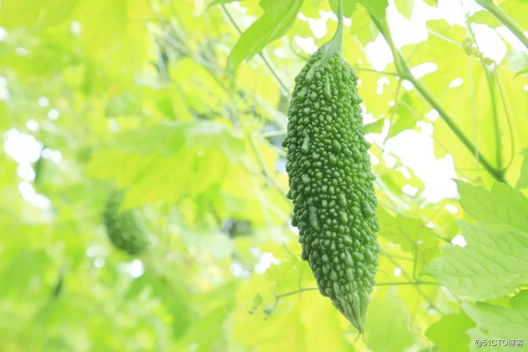 夏至 | 心怀热忱，认真生活 ;不负时光，不负自己