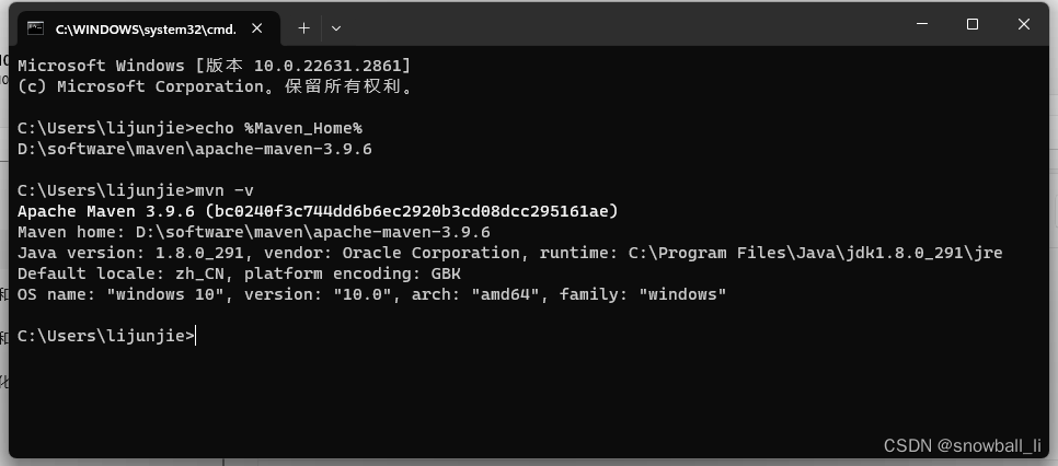 Java-Maven3.9.6：Maven依赖管理 / 安装-配置-使用-CSDN博客