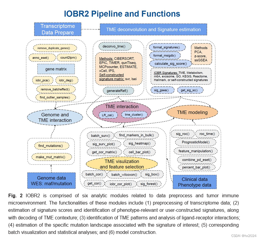 IOBR2 更新(学习自备)-CSDN博客