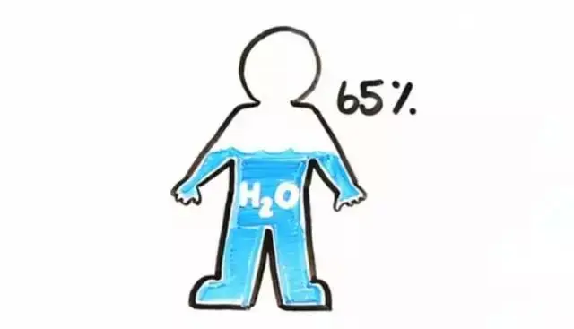 2530112-89b8a3e3df4f5f88