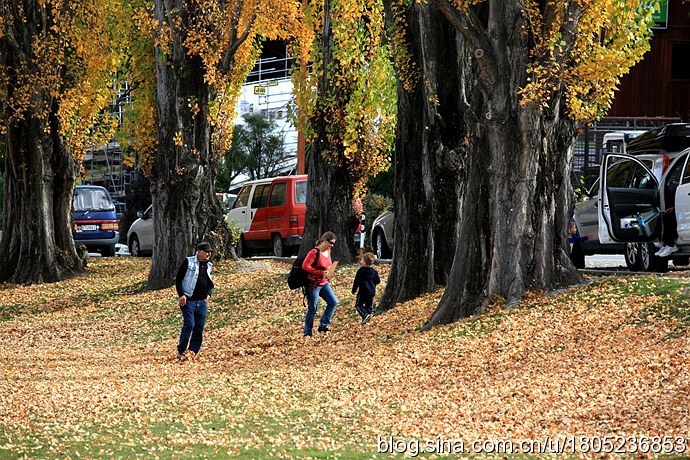 [转载]【纯净新西兰】漫步在童话小镇的秋天