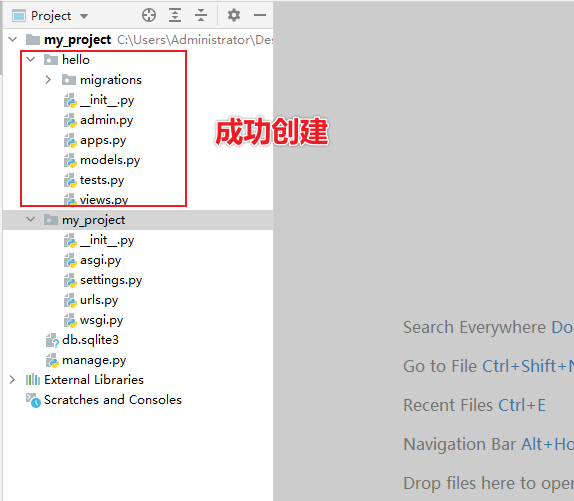 image-20210203101502266