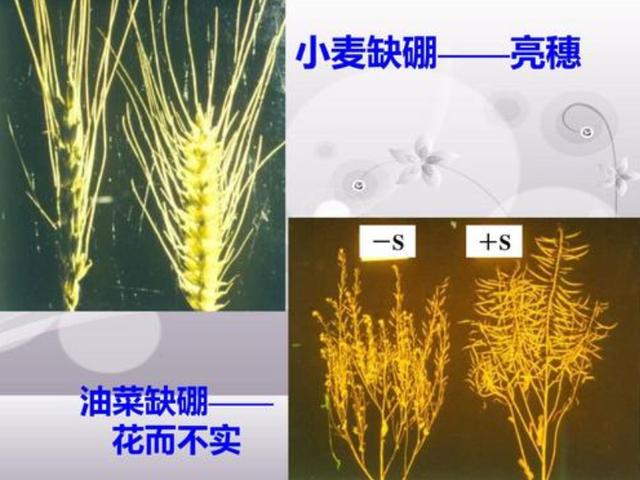 e1604d567e7cede565f282c36e8a4861.png