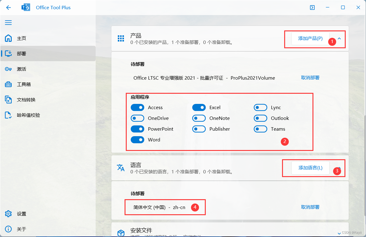 Windows 11 专业版，中文！ 已安装 Office 2021！ 微软Office 2021专业增强版官方版- 小鱼儿yr系统