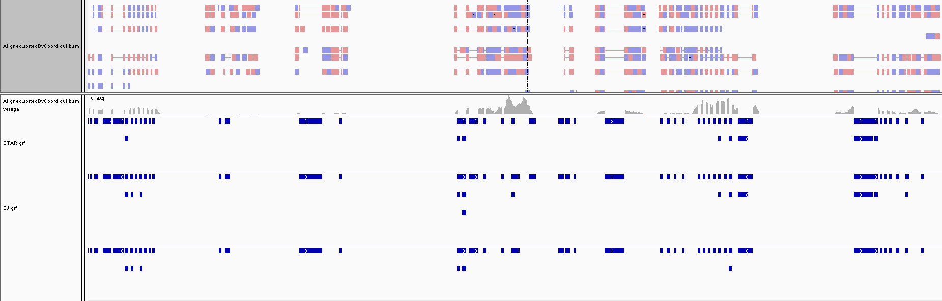 2013053-c5c18a1cddfa1716.png