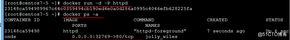 Docker的数据通信、网络通信
