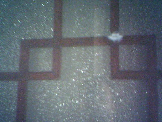 08-11-06_1047.jpg