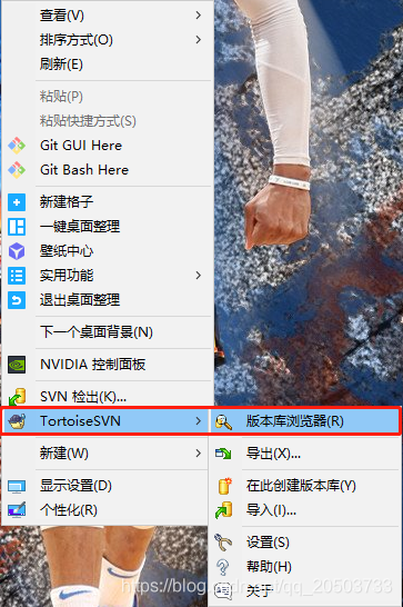 svn浏览器