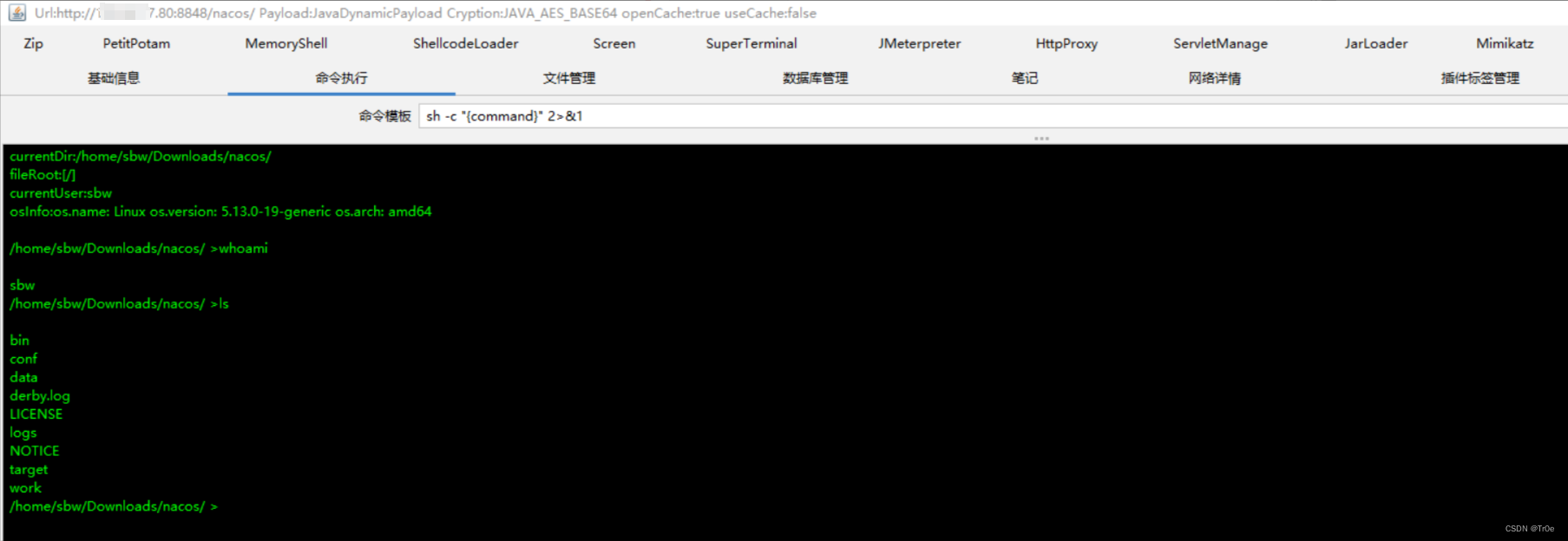 在这里插入图片描述