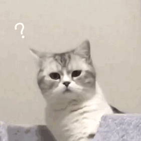 8ab567998b5499f1caf2cdf6acbb92bb.gif