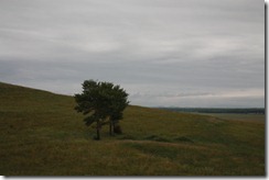 IMG_0999