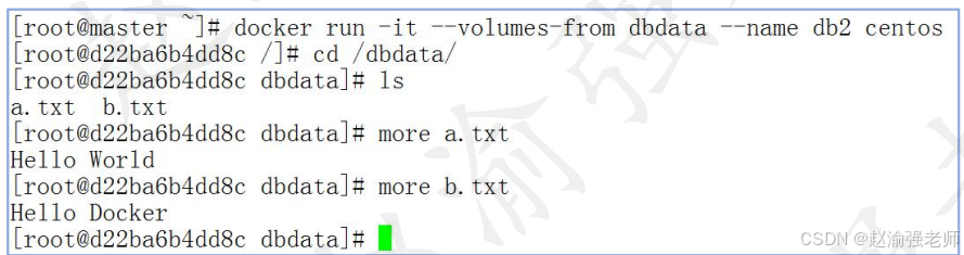 【赵渝强老师】Docker的数据持久化_eureka_08