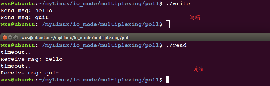 poll