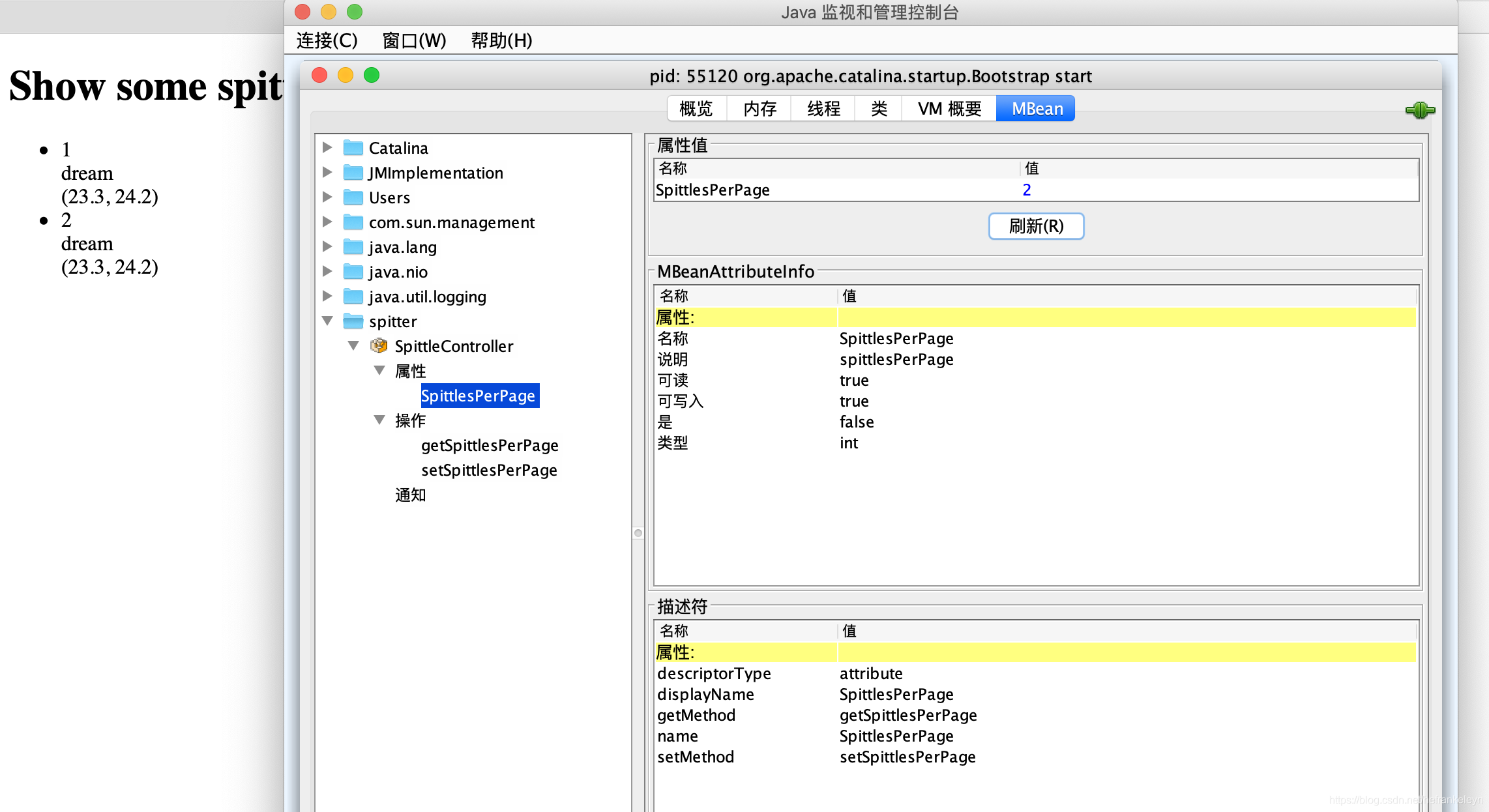配置MBean info assembler后的效果